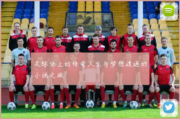 足球场上的传奇人生与梦想追逐的小说之旅