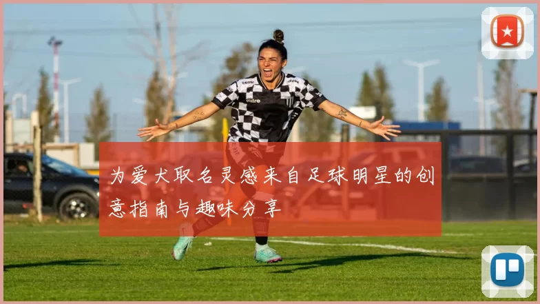 为爱犬取名灵感来自足球明星的创意指南与趣味分享