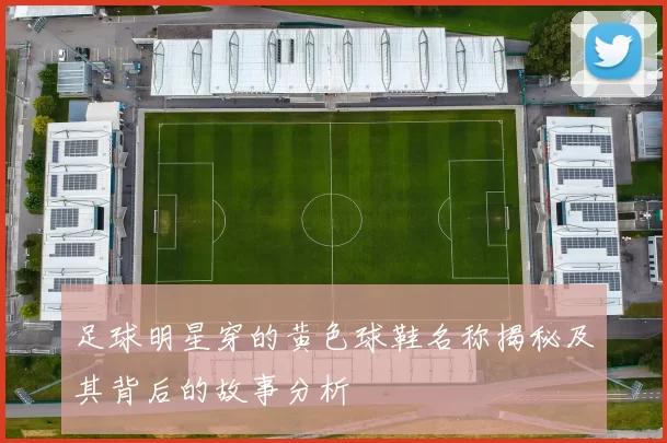 足球明星穿的黄色球鞋名称揭秘及其背后的故事分析