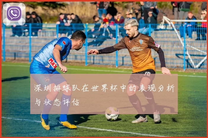 深圳排球队在世界杯中的表现分析与状态评估