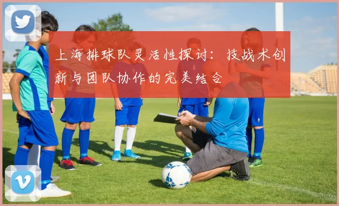 上海排球队灵活性探讨：技战术创新与团队协作的完美结合