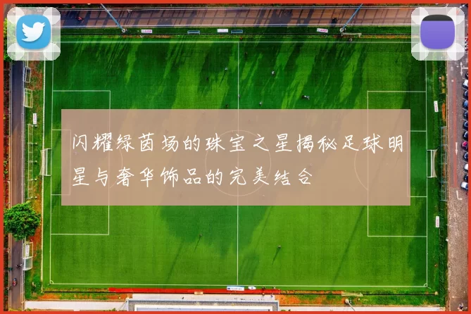 闪耀绿茵场的珠宝之星揭秘足球明星与奢华饰品的完美结合