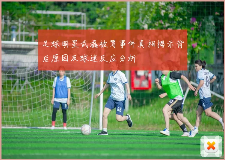 足球明星武磊被骂事件真相揭示背后原因及球迷反应分析