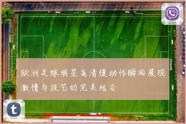 欧洲足球明星高清慢动作瞬间展现激情与技艺的完美结合