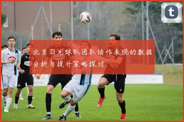 北京羽毛球队团队协作表现的数据分析与提升策略探讨